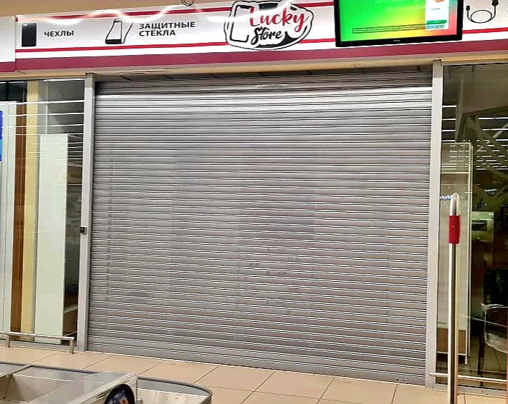 Роллетные ворота DoorHan в Одинцово с установкой