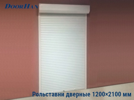 Рольставни на двери 1200×2100 мм в Одинцово от 40575 руб.