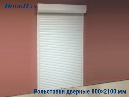 Рольставни на двери 800×2100 мм в Одинцово от 33095 руб.